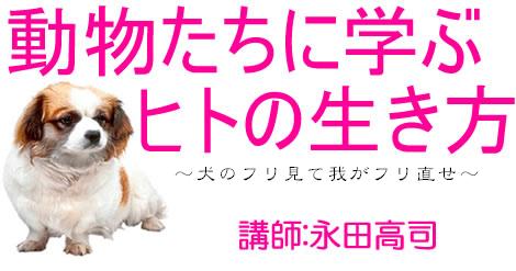 2010-11タイトル