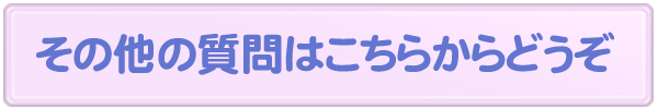 その他の質問